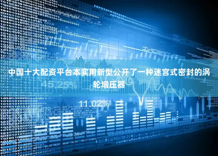 中国十大配资平台本实用新型公开了一种迷宫式密封的涡轮增压器