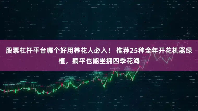 股票杠杆平台哪个好用养花人必入！ 推荐25种全年开花机器绿植，躺平也能坐拥四季花海