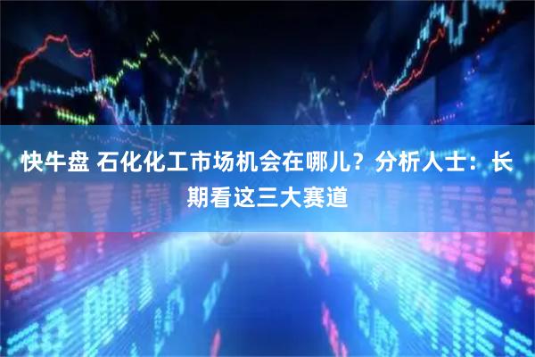 快牛盘 石化化工市场机会在哪儿？分析人士：长期看这三大赛道