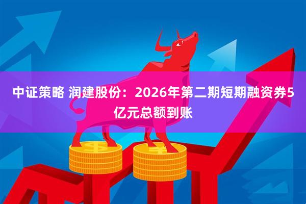 中证策略 润建股份：2026年第二期短期融资券5亿元总额到账