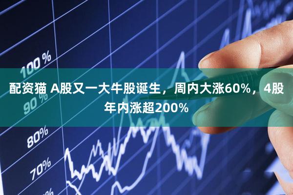 配资猫 A股又一大牛股诞生,周内大涨60%,4股年内涨超200%