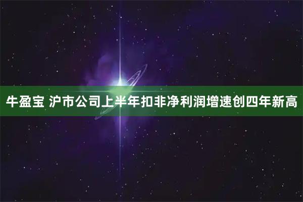 牛盈宝 沪市公司上半年扣非净利润增速创四年新高